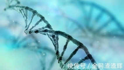 滅絕計劃還是生物革命？美國釋放10億基因改造蚊子的全球影響